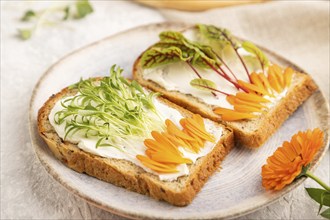 White bread sandwiches with cream cheese, calendula petals and microgreen on gray concrete