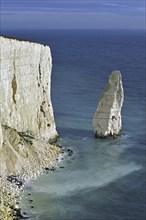 The eroded chalk sea stack The Pinnacles near Old Harry Rocks at Handfast Point on the Isle of