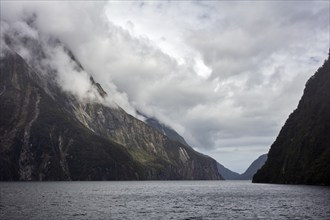 Kreuzfahrt, Milford Sound, Fiordland National Park, Neuseeland