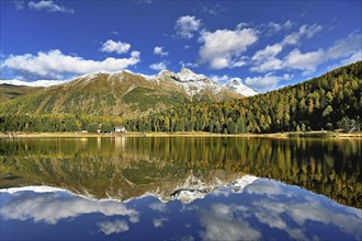 Autumn atmosphere with discoloured larches, Lake Staz, Lej da Staz, St. Moritz, Engadin, Canton