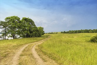 Rural landscape with country road, the sky before the storm and a group of trees