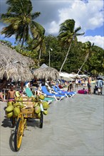 Lively atmosphere on a tropical beach with people looking for relaxation and a fruit seller,