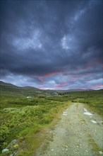 Path in the fell area near Lake Savalen, fell cabin, landscape shot, evening mood, Savalen, Tynset,