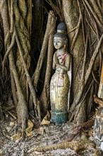 Buddhist figure in front of a tree on Phi Phi Island, wood, carving, wooden figure, Buddhism,