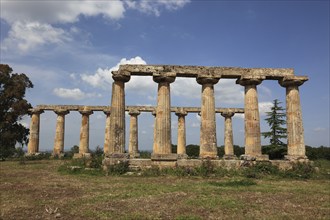 Metaponto, Metaponte, Doric hera temple, Tavole Palatine, Basilicata, Italy, Europe