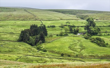 Farms in Yorkshire Dales National Park, North Yorkshire, England, United Kingdom, Europe