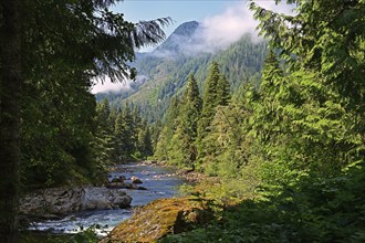 Unknown, picturesque valley with steep mountain slopes through which a stream flows, Vancouver