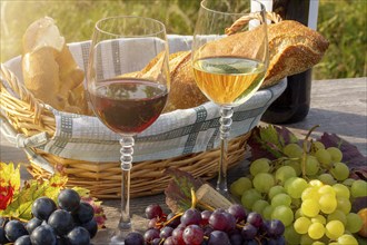 Symbolic image: Ripe grapes decorated with wine glasses on a wooden table