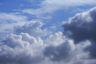 Gathering rain cloud (Nimbustratos), Mecklenburg-Western Pomerania, Germany, Europe