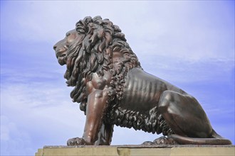 Large bronze lion figure with mane, sculpture, lion's mane, free-standing sculpture, Ducal Museum,