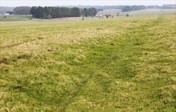 Field view of faint embankment lines 5, 500 years old Stonehenge Cursus, Wiltshire, England, UK