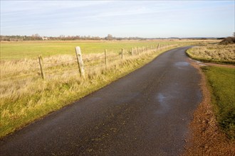 Narrow winding country tarmac road leading into the distance at Shingle Street, Hollesley, Suffolk,