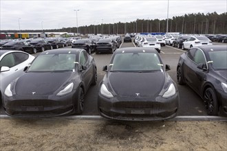 Tesla Y models produced in the Tesla Giga Factory, Grünheide, 28.01.2023