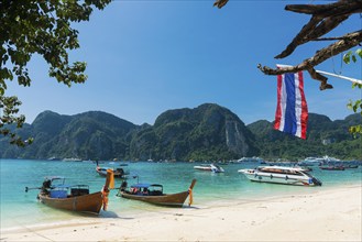 Longtail boats in the harbour of Phi Phi Island, island, island paradise, beach, beach holiday,