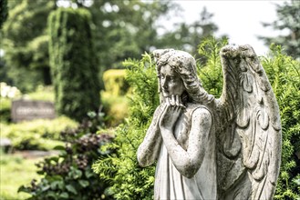 Cemetery, old gravestone, angel figure, North Rhine-Westphalia, Germany, Europe