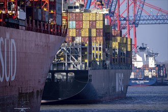 Port of Hamburg, Waltershofer Hafen, EUROGATE Container Terminal, container freighter Cap San