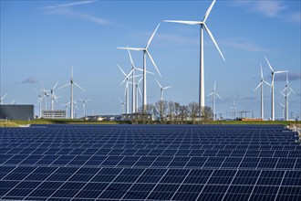 Vopak Solarpark Eemshaven, 19 hectares of solar modules with a capacity of 25 megawatts, around the