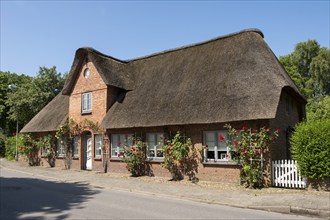 Frisian house, thatched house, Alkersum, Föhr, North Sea island, North Frisia, Schleswig-Holstein,