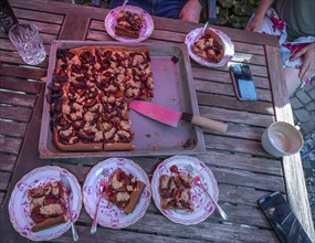 Fresh plum cake from the baking tray. Baden-Württemberg, Germany, Europe