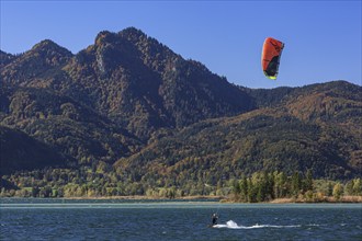 Kite surfer on a lake in front of mountains, sunny, autumn, Lake Kochel, Kochel, Bavaria, Germany,