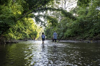 Young woman and man in the tropical rainforest crossing a stream, tourists wading through a stream,