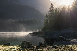 The Vordere Gosausee in autumn. Several tree stumps in the foreground. Fog rises from the lake.