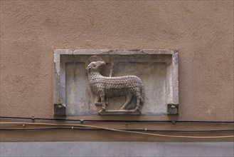 Sculpture of the Lamb of God above an entrance door, historic city centre, Genoa, Italy, Europe