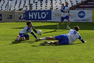 Fistball: TSV Pfungstadt against TV Käfertal (IFA 2024 Fistball World Tour Finals Mannheim,