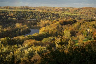 Autumnal forest along the Ruhr valley between Essen-Kettwig and Essen-Werden, seen from Öfter Wald,