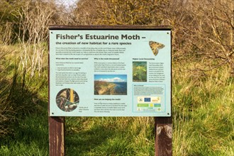 Information sign about Fisher's Estuarine Moth (Gortyna borelii lunata), Cudmore Grove Country