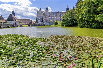 Castle pond with water lilies in front of Hämelschenburg Castle, Weser Renaissance castle,