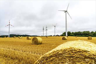 Power lines, high-voltage power lines, wind turbines, grain field, north-east of Höxter, North