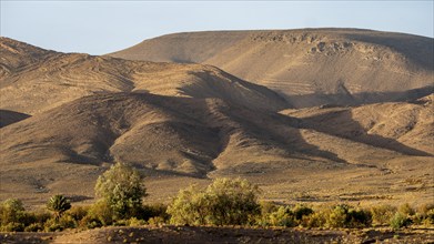 Mountain and hilly landscape in the evening light, sandstone hills, Fint, Morocco, Africa