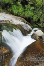 Small waterfall, Cleopatra's Pool, Abel Tasman National Park, Nelson Region, South Island New