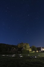 Starry sky, starry night, Beech Resort am Plauer See, Ganzlin, Mecklenburg-Vorpommern, Germany,