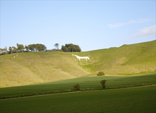 White horse in chalk scarp slope Cherhill, Wiltshire, England dating form 1780