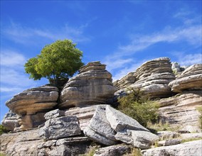 Dramatic limestone scenery of rocks shaped by erosion and weathering at El Torcal de Antequera