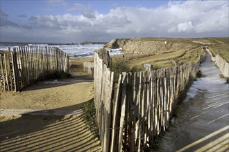 Storm at sea in winter, Côte Sauvage, Quiberon, Brittany, France, Europe