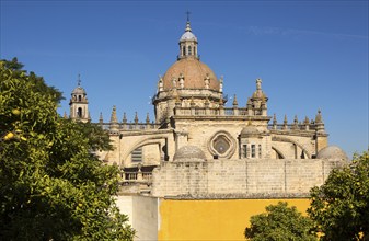 Dome of Cathedral church amidst orange trees with deep blue sky, Jerez de la Frontera, Cadiz