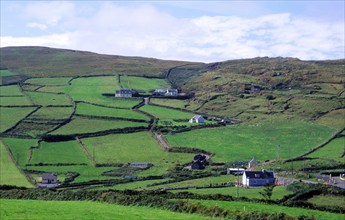 Rural farmhouses and landscape, Dursey Head, Beara peninsula, County Cork, Ireland, Europe