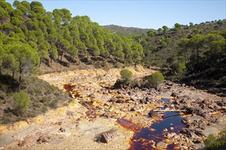 Blood red mineral laden water Rio Tinto river Minas de Riotinto mining area, Huelva province,