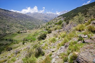 Landscape of the River Rio Poqueira gorge valley, High Alpujarras, Sierra Nevada, Granada Province,