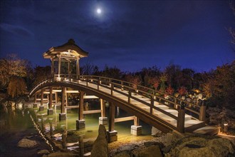 Japanese park, Krasnodar, Russia, Europe