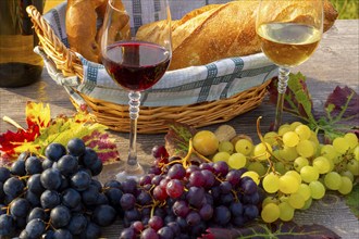 Symbolic image: Ripe grapes decorated with wine glasses on a wooden table