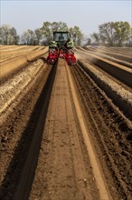 A farmer builds asparagus ridges on a field with the help of an asparagus tiller, in which the