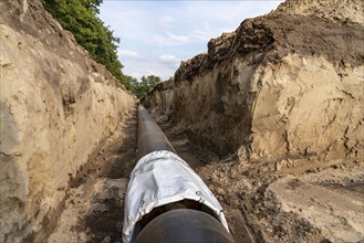 Laying of district heating pipes, next to a field, with maize, the district heating comes from a