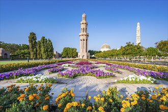 Sultan Qaboos Grand Mosque, blooming flowers in gardens, Muscat, Oman, Asia