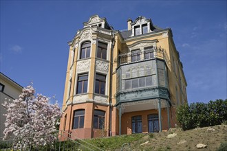 Old building, villa, Weinbergstraße, Wiesbaden, Hesse, Germany, Europe