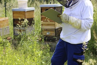 Beekeeper works on his hive