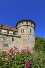 Hohentübingen Palace, tower, masonry, Museum of the University of Tübingen MUT, university